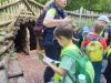 IMG_20240605_105327-1