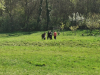 IMG_20250403_104242