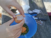 IMG_20250403_114431
